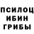 Псилоцибиновые грибы мицелий D.x.R