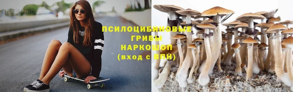 мяу мяу кристалл Иннополис