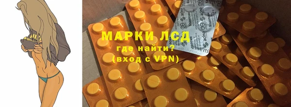 СК Инта
