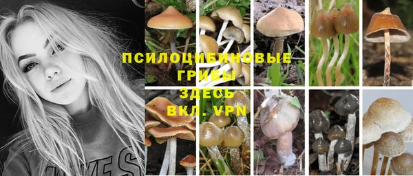 мяу мяу кристалл Зеленокумск
