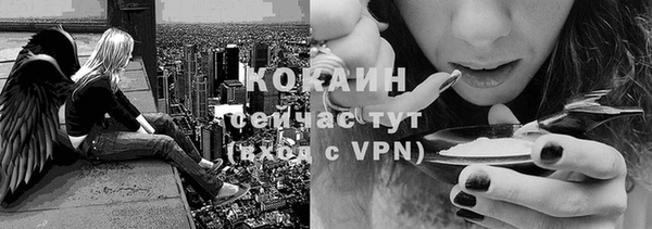 мяу мяу кристалл Иннополис