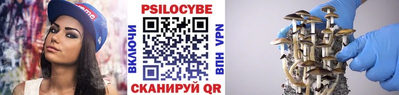 Псилоцибиновые грибы GOLDEN TEACHER  Купить где  Чулым 