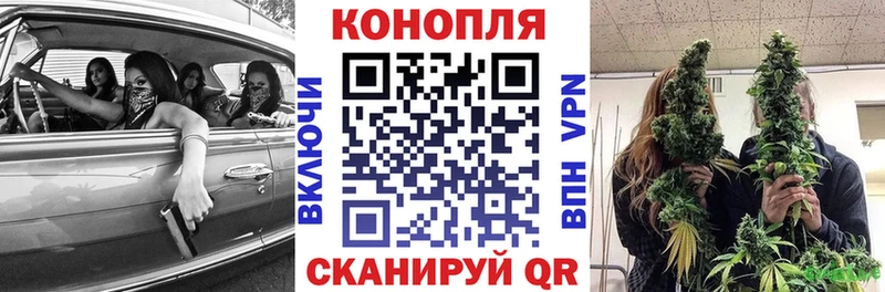 Шишки марихуана гибрид  Купить закладки  Чулым 